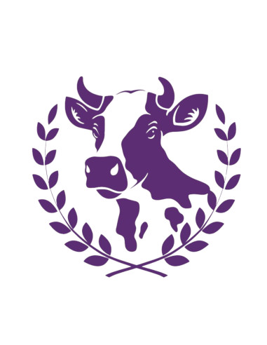 MIÉRCOLES UNIVERSITARIOS