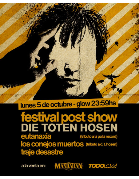 Festival Post Show Die Toten Hosen